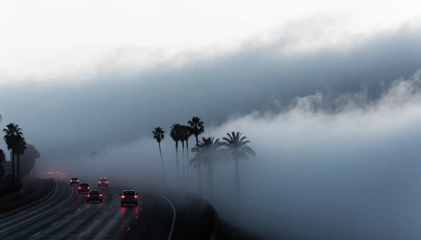 Taillights disappearing into marine-layer fog on the I-5 — Oceanside's gray-morning crash conditions