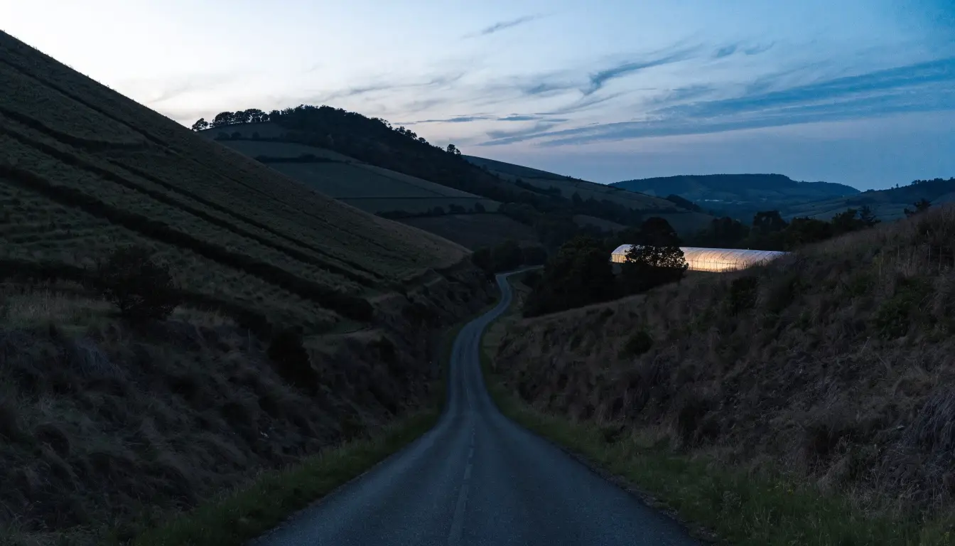 A dark two-lane road through Morro Hills' agricultural hills — where country crashes leave thin evidence
